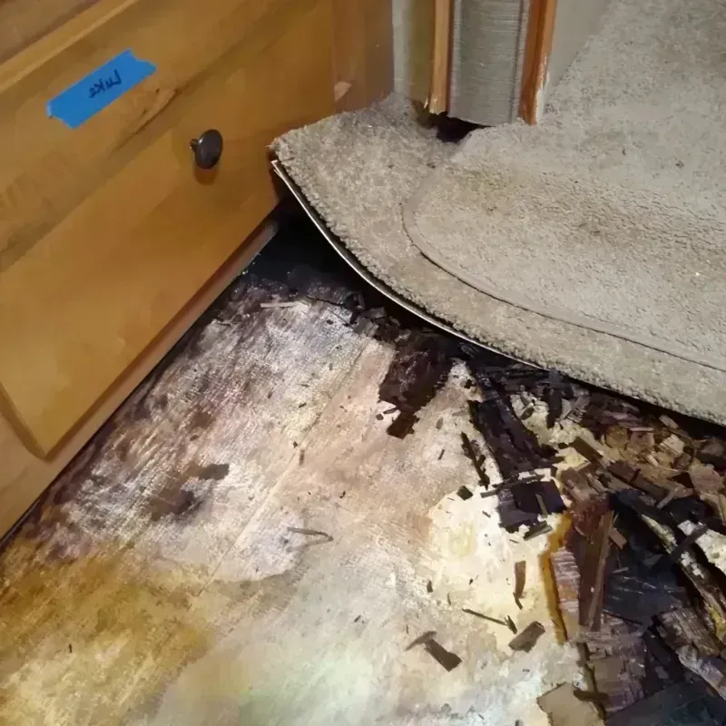 Best Wood Floor Water Damage Service in Hopkins, SC